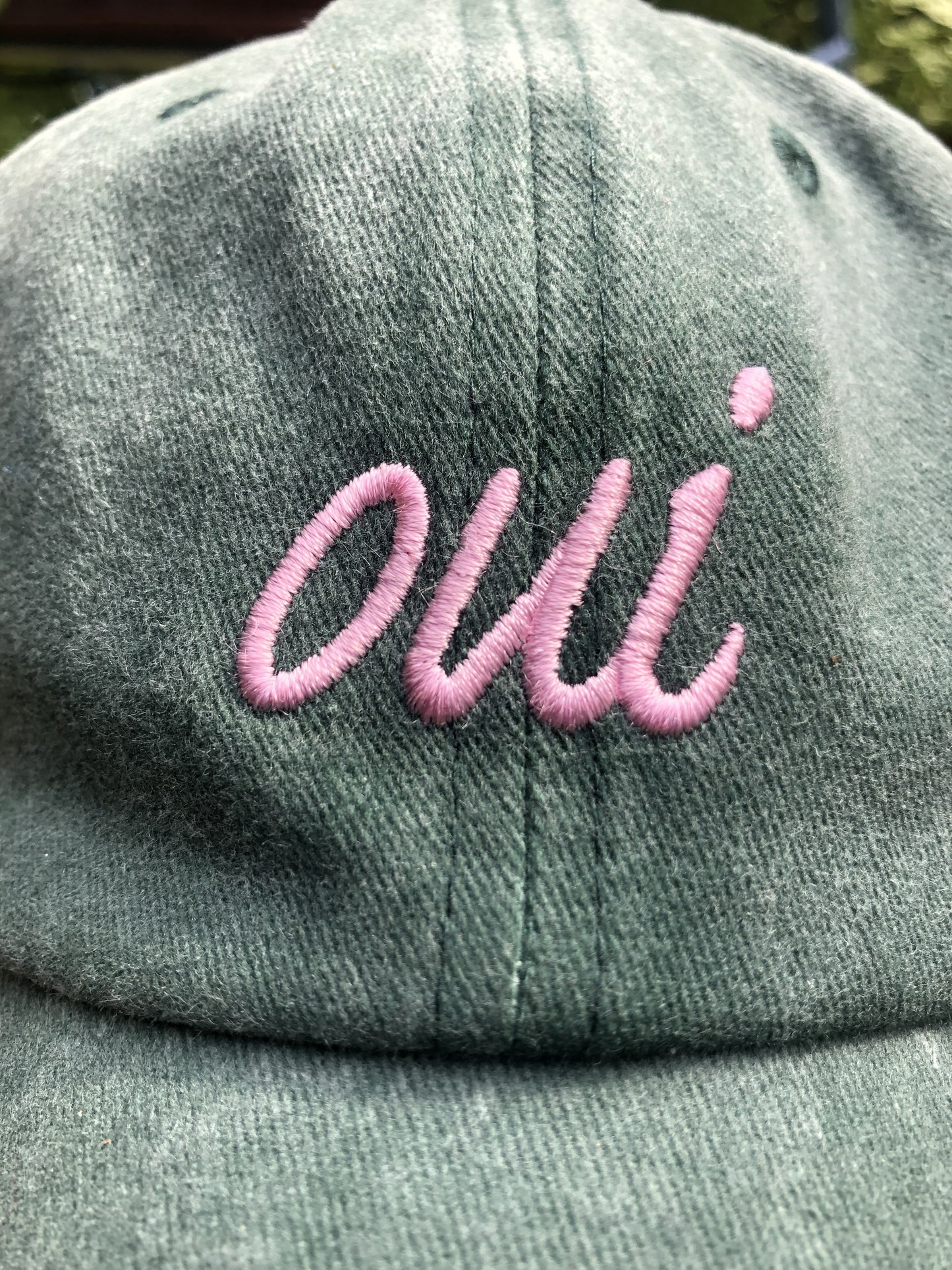 OUI pet